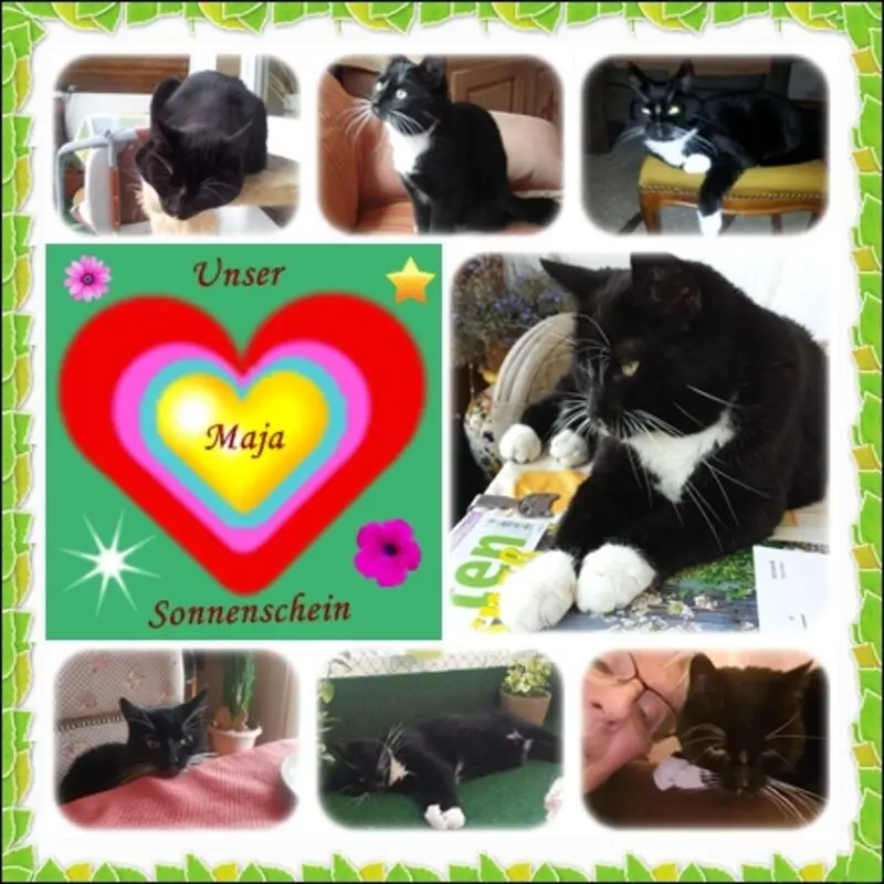 Andachtsbild von deiner Ilse zum 20. Gedenkmonat