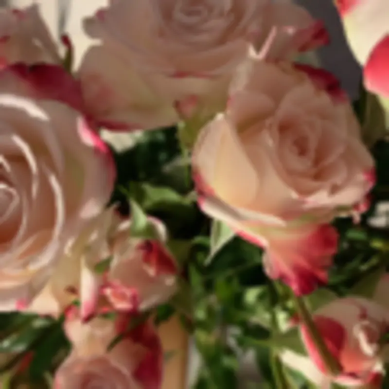 Andachtsbild von ☆❤️☆Zum Gedenken für 20 Monate☆❤️☆