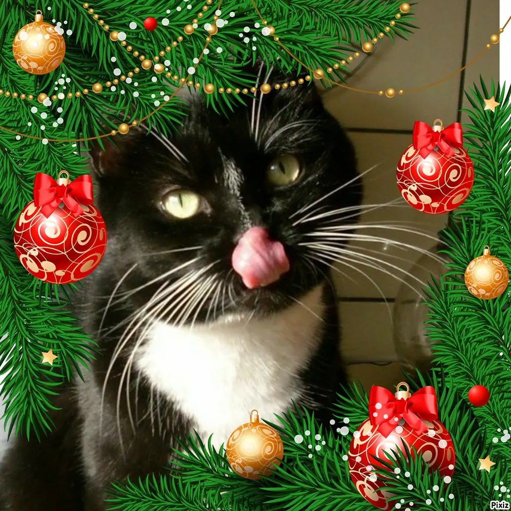 Andachtsbild von Tanja mit Timmy im Herzen 