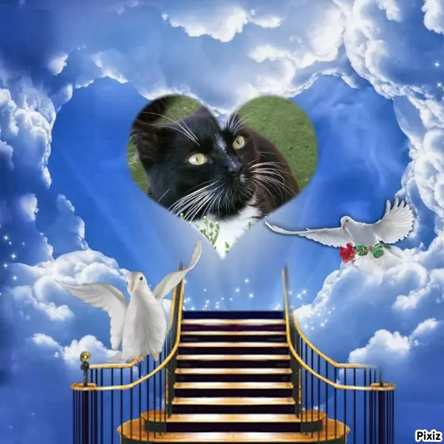 Andachtsbild von Tanja mit Timmy im Herzen 