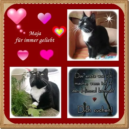 Andachtsbild von deiner Ilse in Liebe zum 23. Gedenkmonat