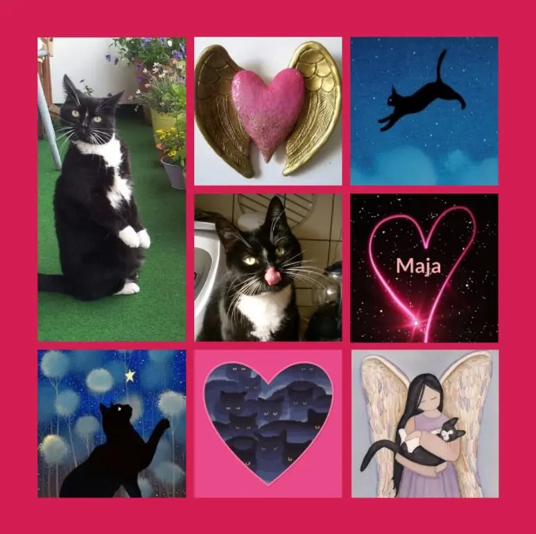 Andachtsbild von Rosen zum 2. Sternchengeburtstag für Maja