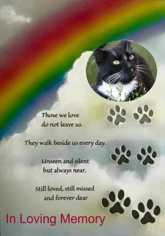 Andachtsbild von 2.Sternchen❤️Gedenktag❤️❤️