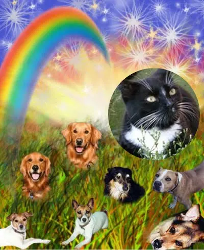 Andachtsbild von 2.Sternchen❤️Gedenktag❤️❤️