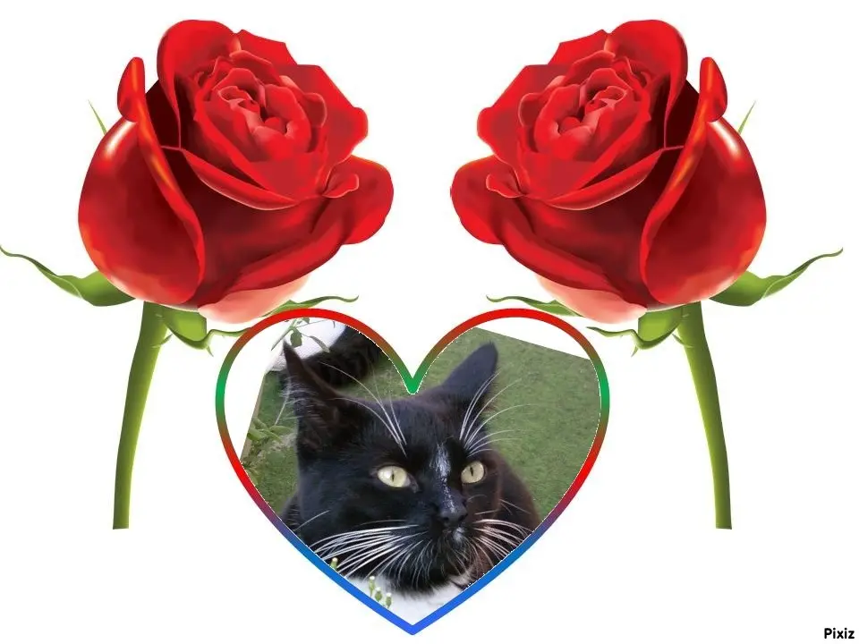 Andachtsbild von Jutta mit Purzel tief im Herzen  ✟ 08.05.2016 