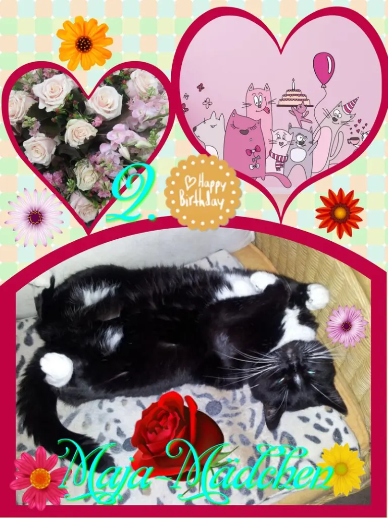 Andachtsbild von ❤Eike und Edeltraud mit unseren Sternchen tief im Herzen ❤ 