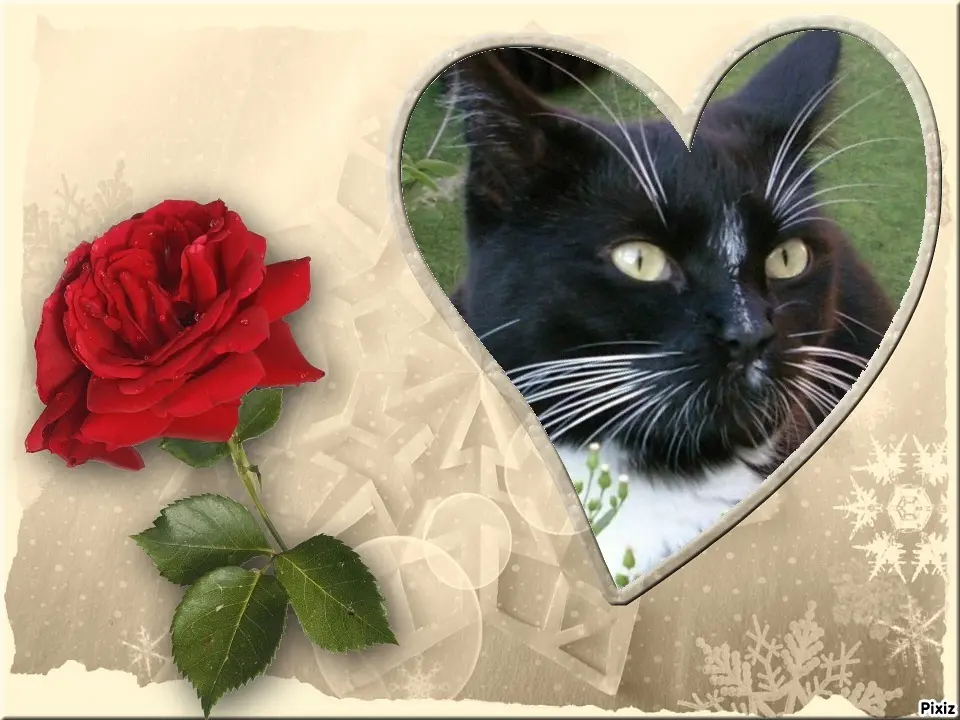 Andachtsbild von Tanja mit Timmy im Herzen 