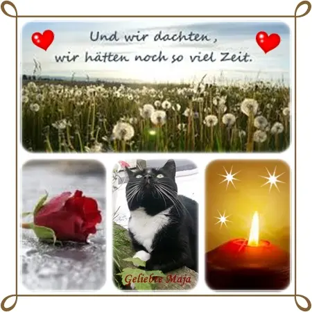 Andachtsbild von deiner Ilse in Liebe zum 25. Gedenkmonat