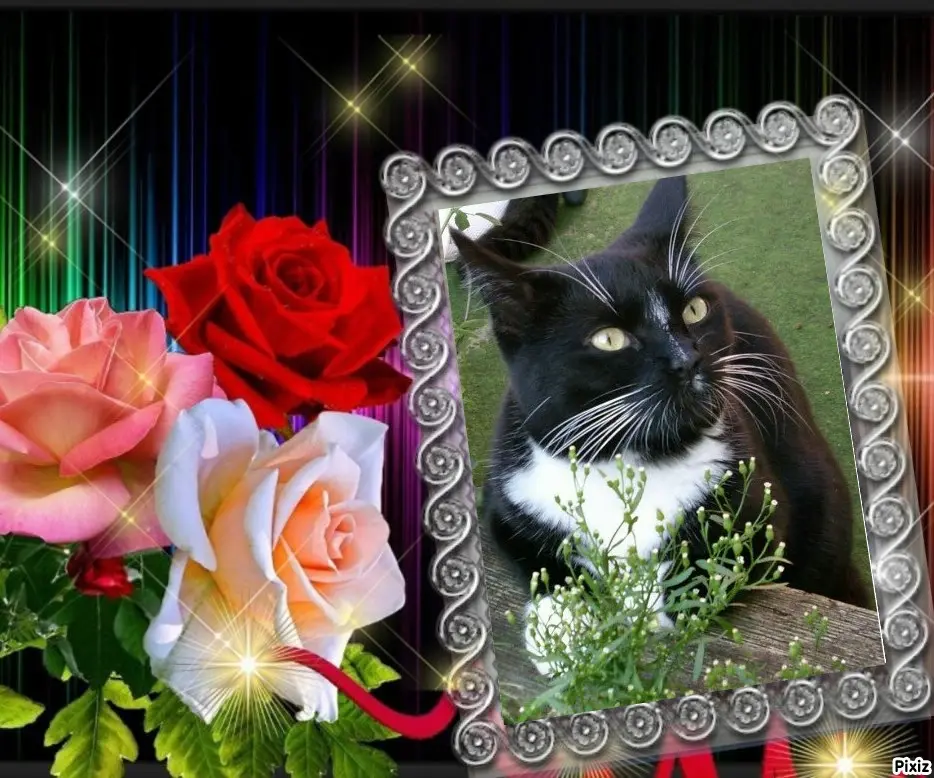 Andachtsbild von Tanja mit Timmy im Herzen 