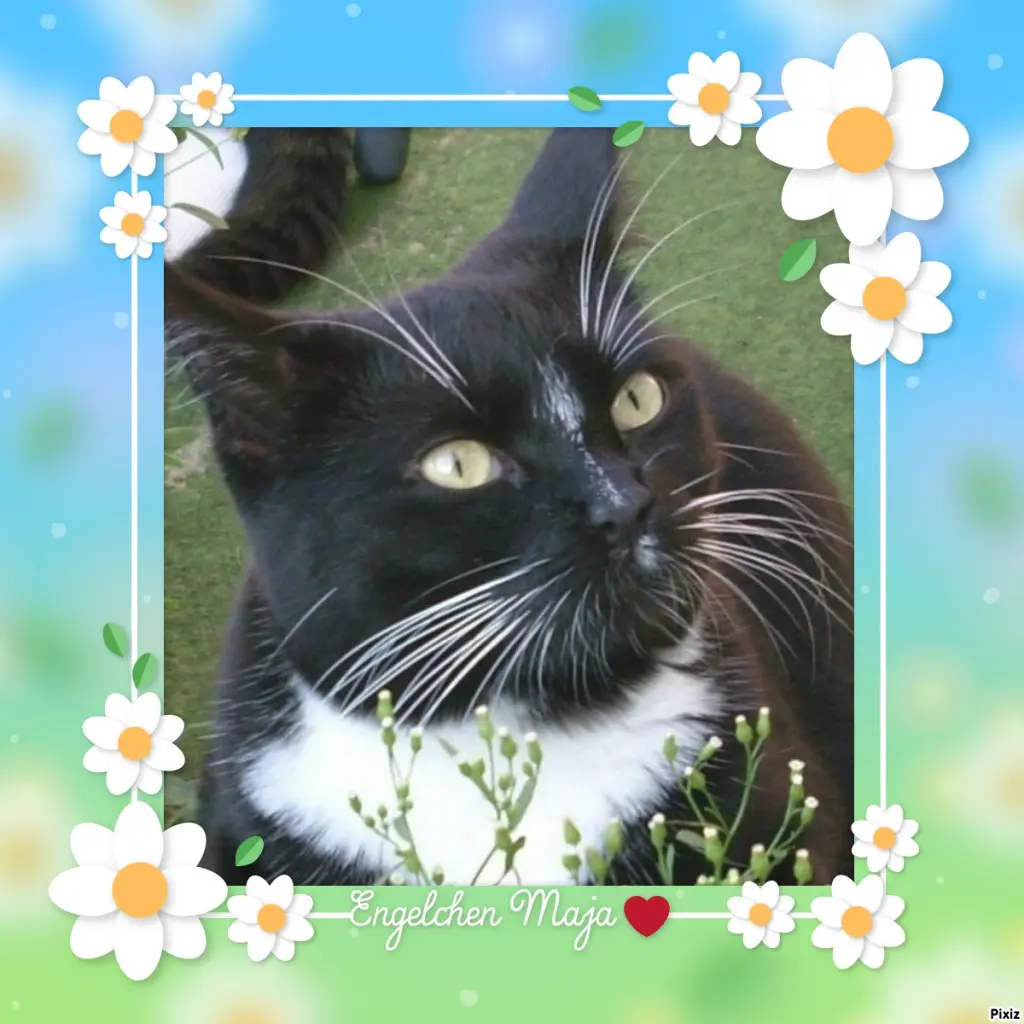 Andachtsbild von Tanja mit Timmy im Herzen 