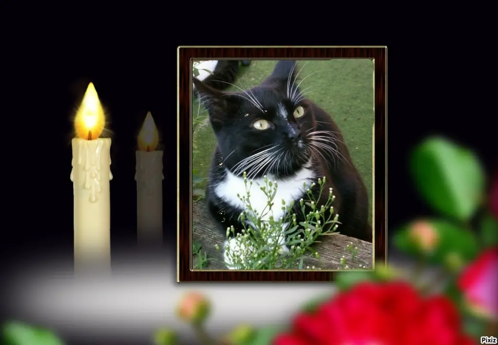 Andachtsbild von Tanja mit Timmy im Herzen 