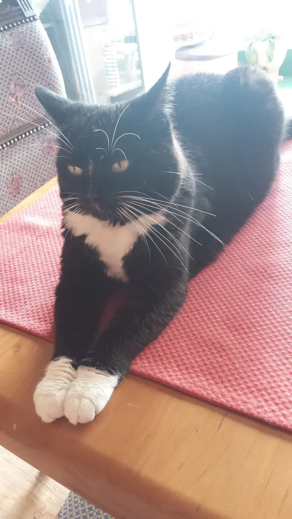 Andachtsbild von deiner Ilse in Liebe zum 29. Gedenkmonat