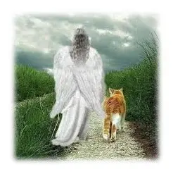 Andachtsbild von Sabine mit Kaspar tief im Herzen☸ڿڰۣ❤️