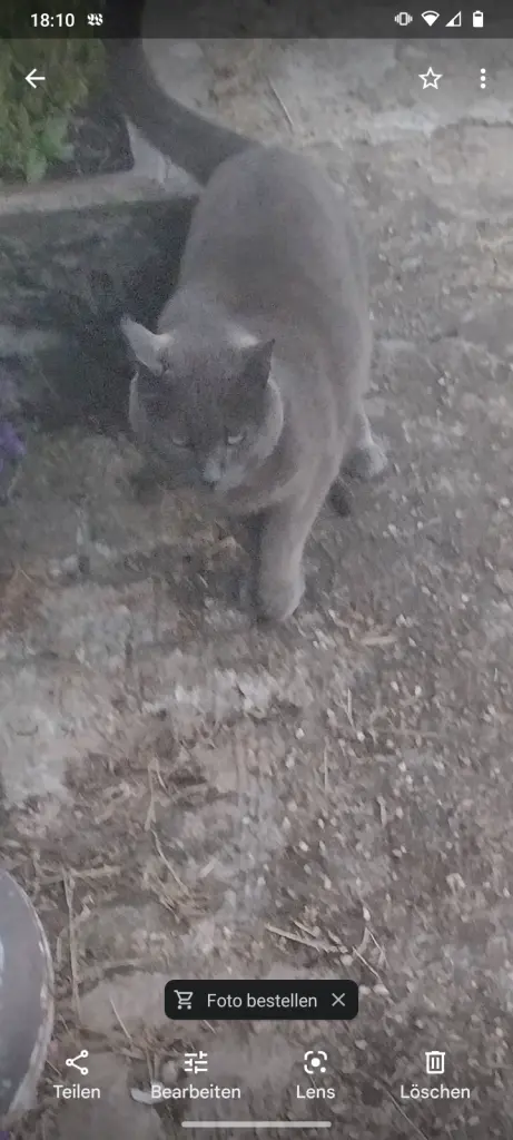 Andachtsbild von Corinna mit Emma, Pummelchen und anderen Sternlein im ❤️