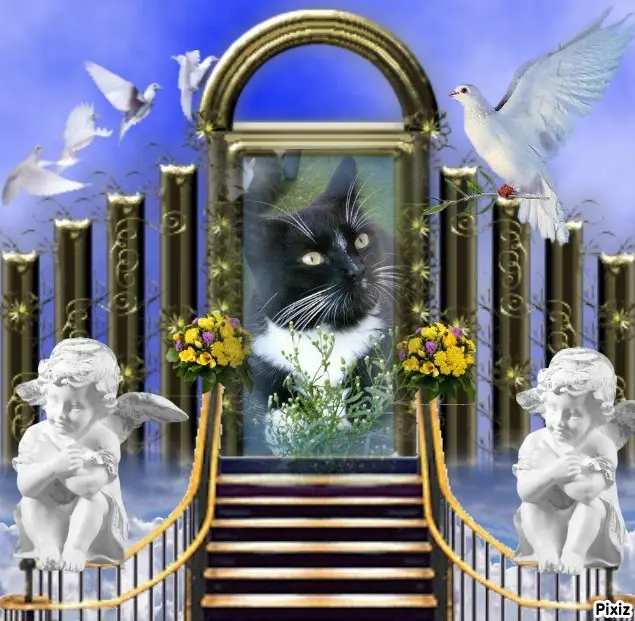 Andachtsbild von Tanja mit Timmy im Herzen 