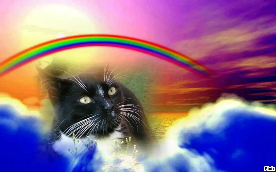 Andachtsbild von Tanja mit Timmy im Herzen 