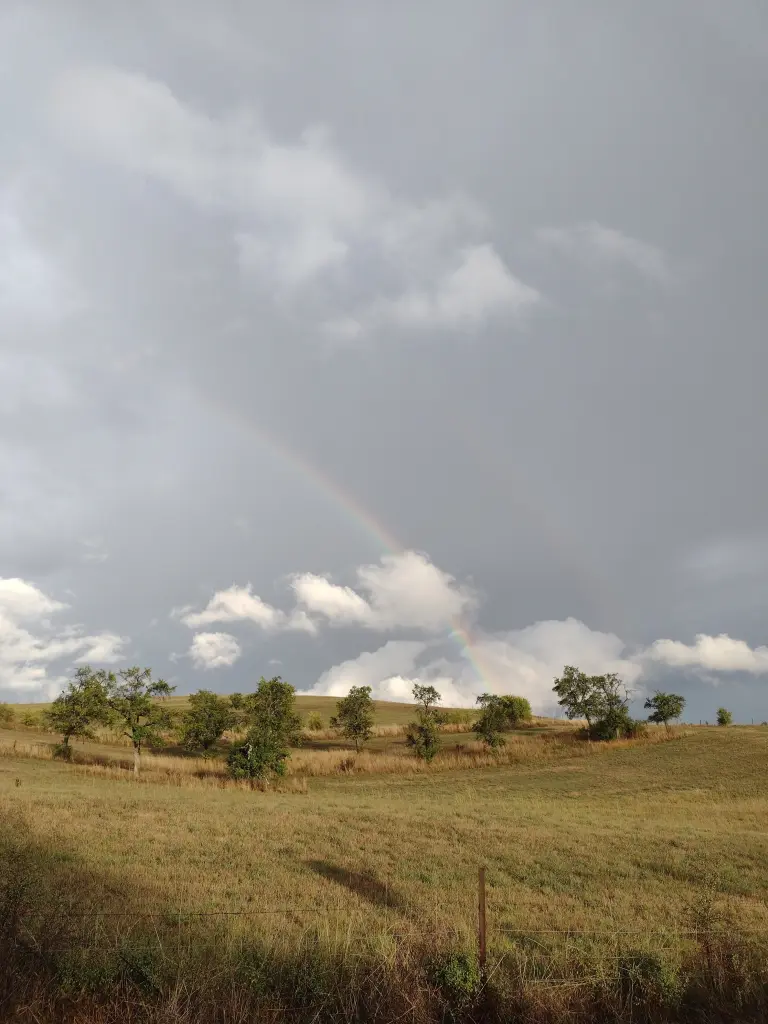 Andachtsbild von Corinna mit Emma, Pummelchen und anderen Sternleine im Herzen