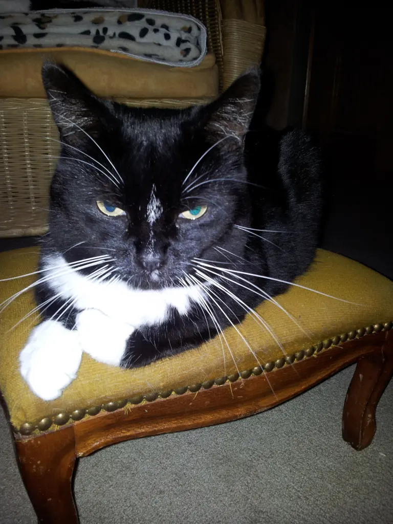 Andachtsbild von deiner Ilse in Liebe zum 31. Gedenkmonat