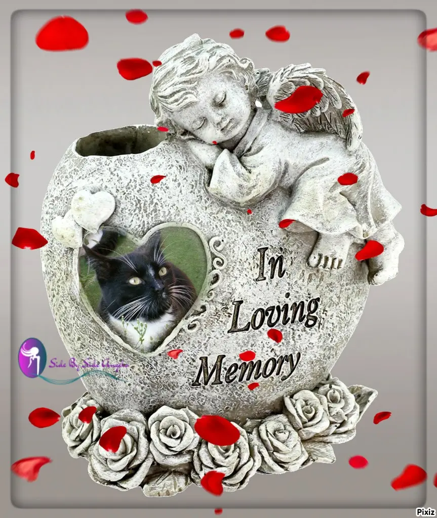 Andachtsbild von Tanja mit Timmy im Herzen 