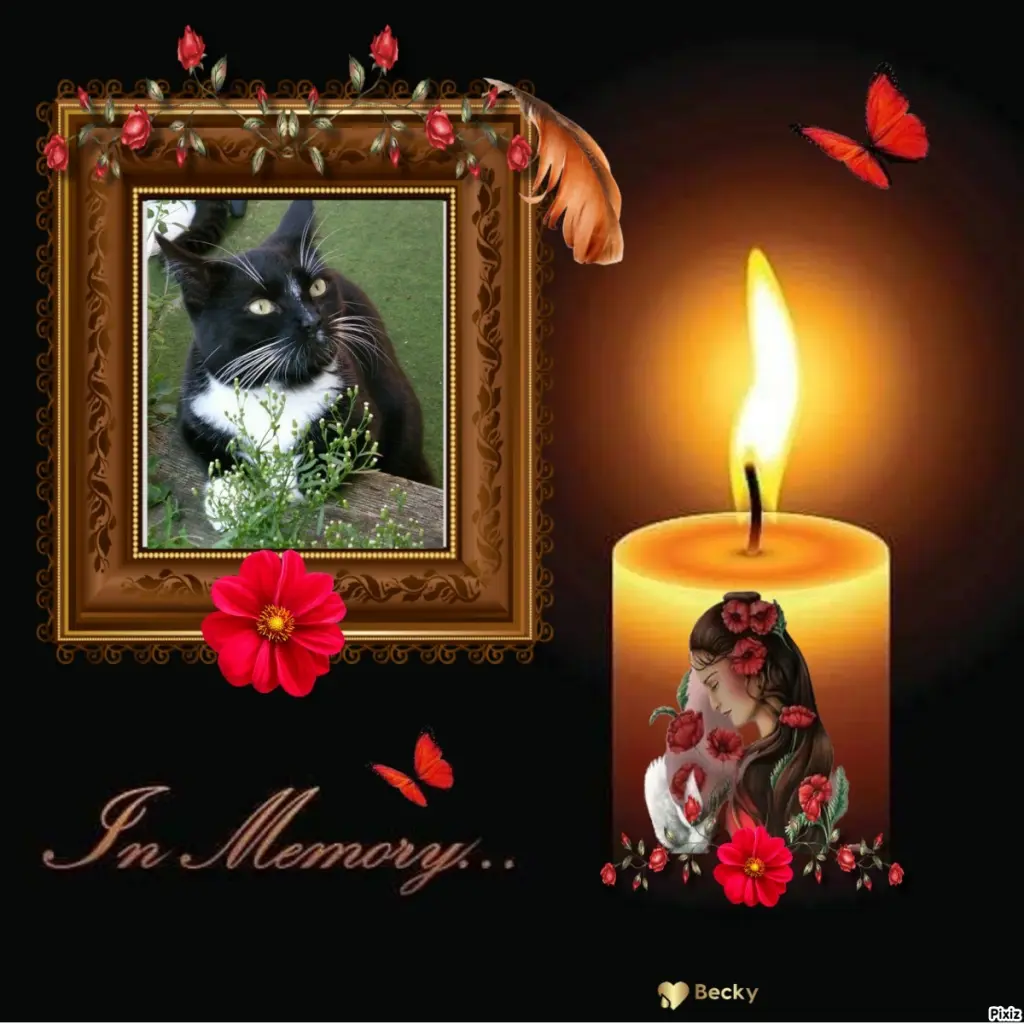 Andachtsbild von Tanja mit Timmy im Herzen 