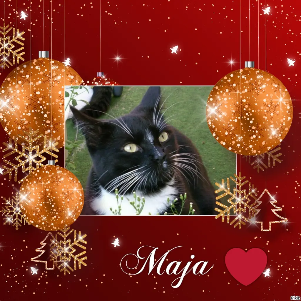 Andachtsbild von Tanja mit Timmy im Herzen 