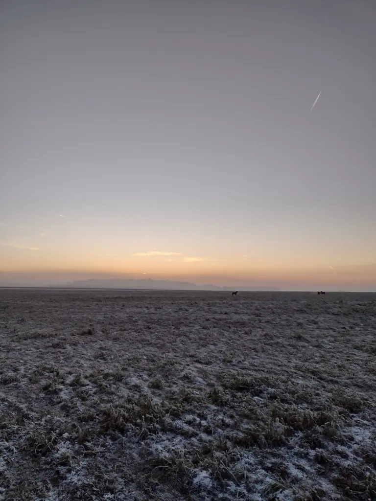 Andachtsbild von Corinna mit Emma, Pummelchen und anderen Sternleine im Herzen