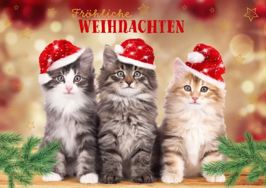 Andachtsbild von Frohe❤❤❤Weihnachten❤❤❤