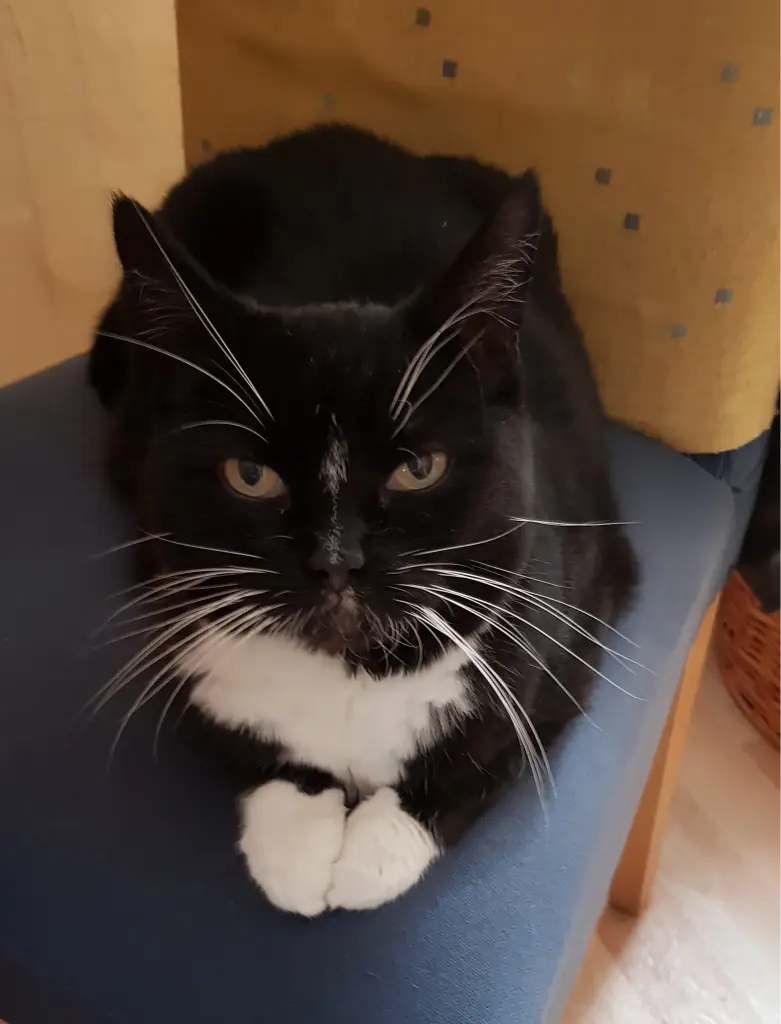 Andachtsbild von deiner Ilse in Liebe zum 35. Gedenkmonat