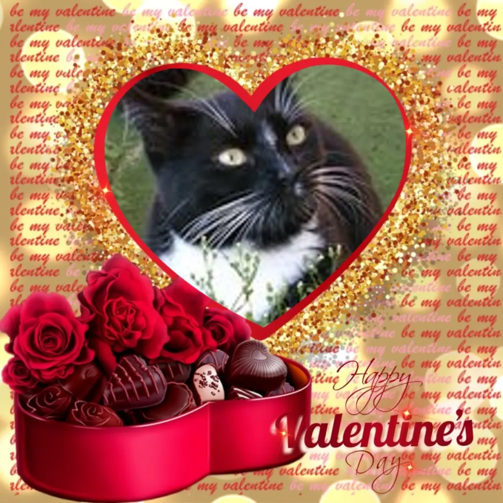 Andachtsbild von Valentins❤️Rosen❤️❤️❤️❤️❤️❤️❤️❤️