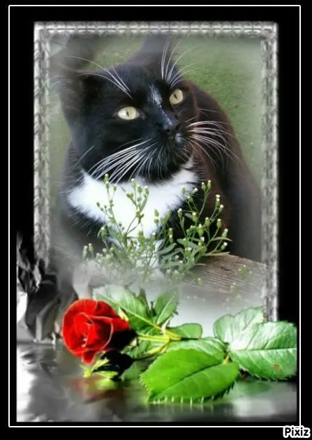 Andachtsbild von Tanja mit Timmy im Herzen 