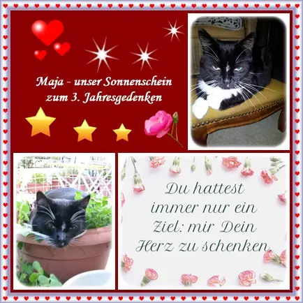 Andachtsbild von deiner Ilse in Liebe zum 3. Jahresgedenken