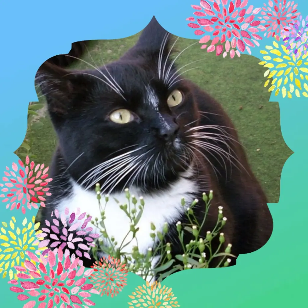 Andachtsbild von ❤️Eike und Edeltraud  mit unseren Sternchen tief im Herzen ❤️❤️❤️❤️❤️❤️❤️❤️ 