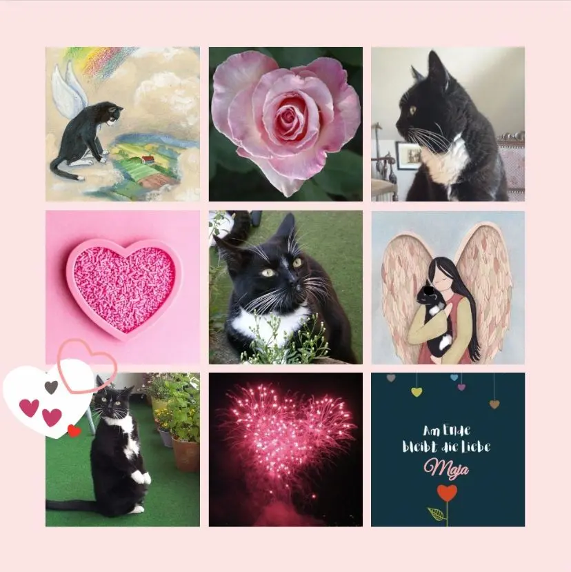 Andachtsbild von Rosen für Maja zum 3. Sternchengeburtstag