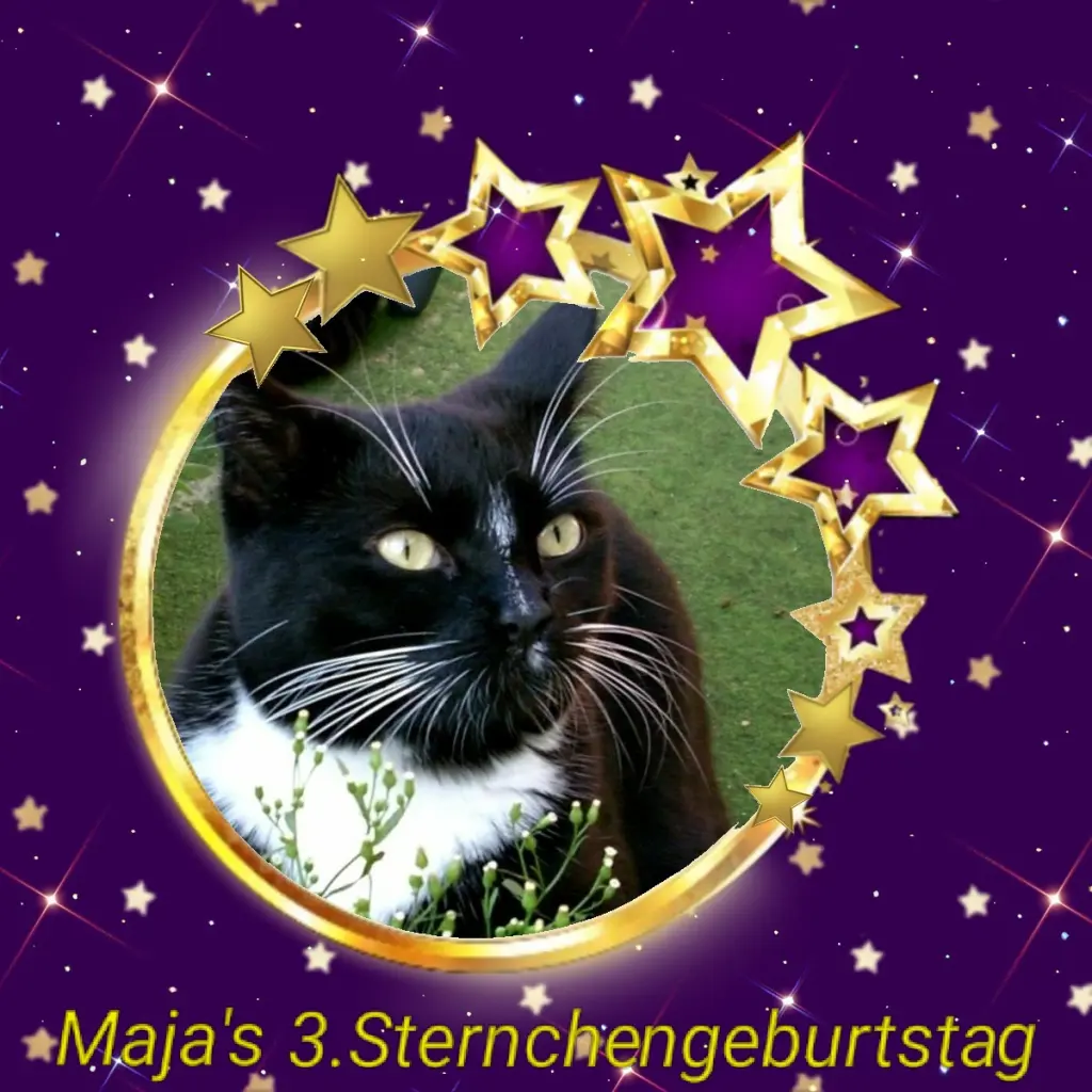 Andachtsbild von Unbekannt