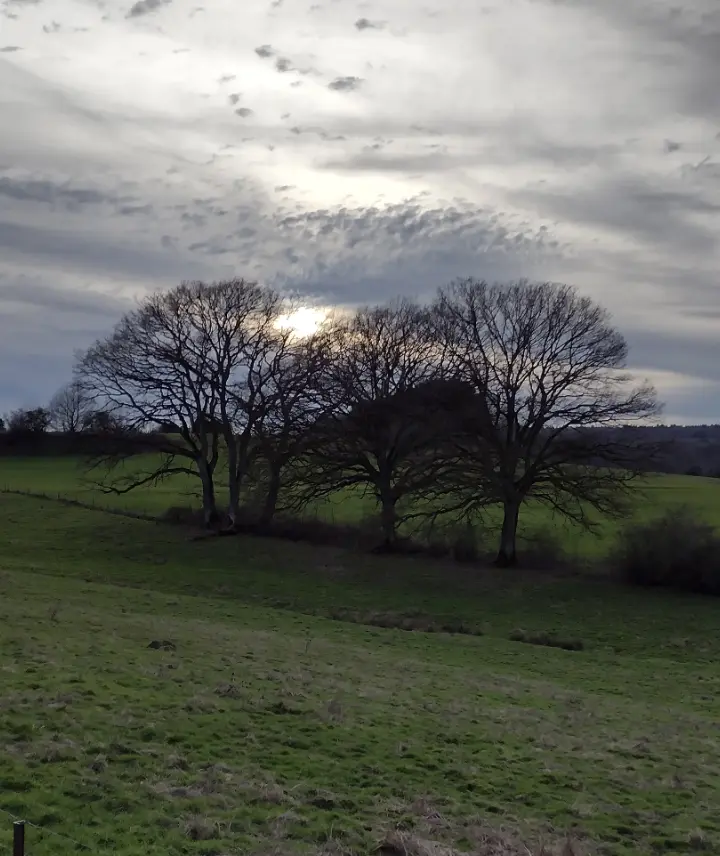 Andachtsbild von Corinna mit Emma, Pummelchen und anderen Sternlein im ❤️