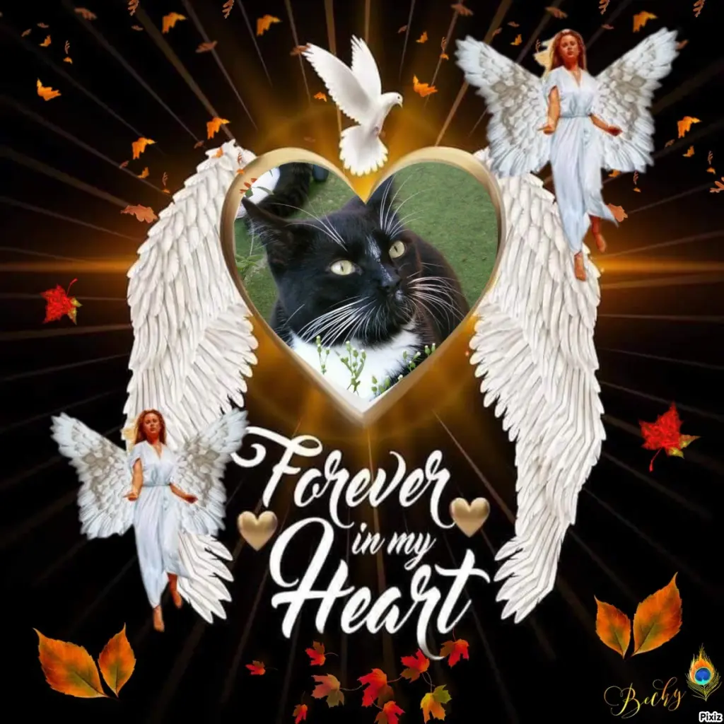 Andachtsbild von Tanja mit Timmy im Herzen 