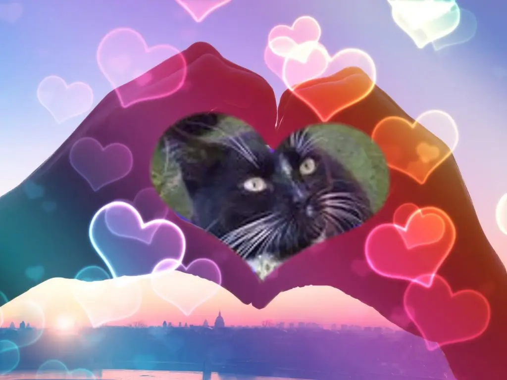 Andachtsbild von ❤️❤️❤️❤️❤️❤️❤️❤️❤️❤️❤️❤️