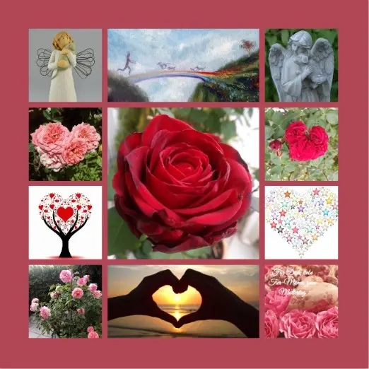 Andachtsbild von Rosen zum Muttertag ❀