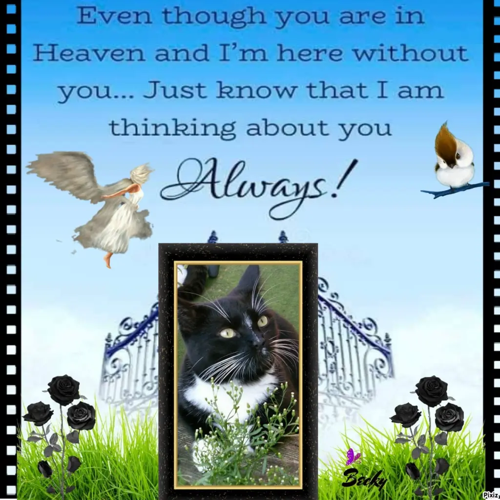 Andachtsbild von Tanja mit Timmy im Herzen 