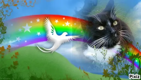 Andachtsbild von Tanja mit Timmy im Herzen 