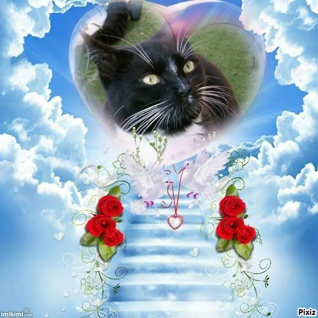 Andachtsbild von Tanja mit Timmy im Herzen