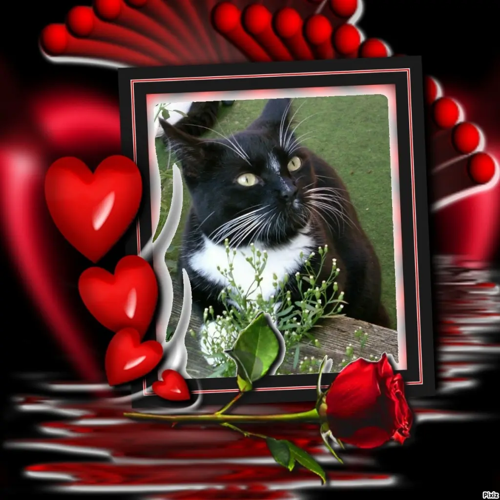 Andachtsbild von Tanja mit Timmy im Herzen