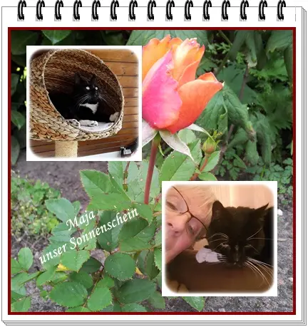 Andachtsbild von deiner Ilse in Liebe zum 42. Gedenkmonat