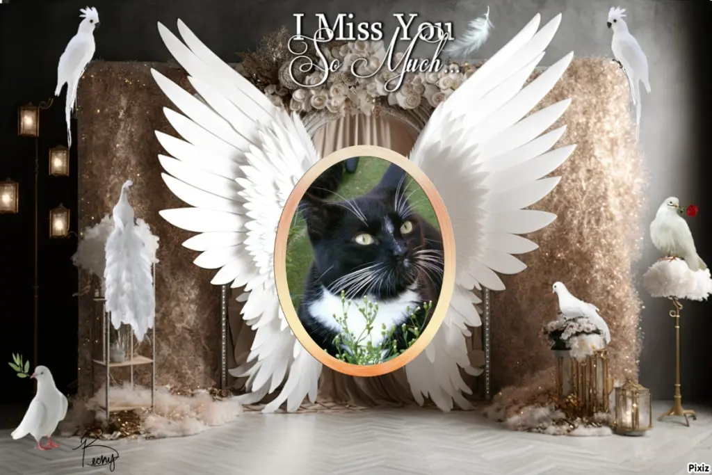 Andachtsbild von Tanja mit Timmy im Herzen