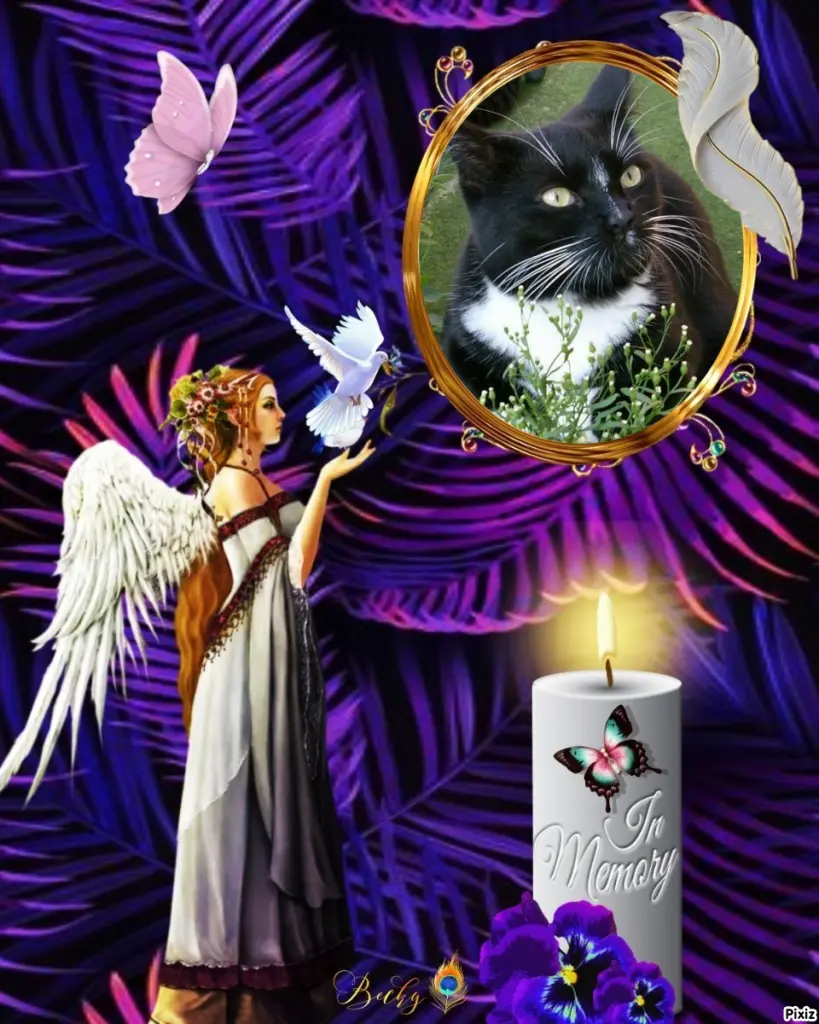 Andachtsbild von Tanja mit Timmy im Herzen