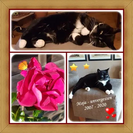 Andachtsbild von deiner Ilse in Liebe zum 44. Monatsgedenken