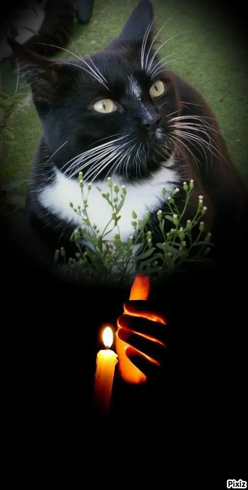 Andachtsbild von Tanja mit Timmy im Herzen 