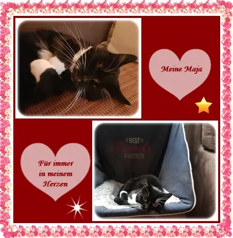 Andachtsbild von deiner Ilse in Liebe zum 45. Monatsgedenken