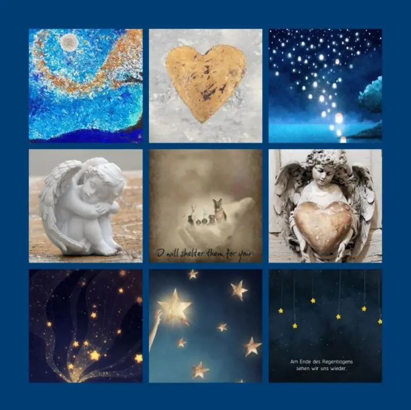 Andachtsbild von Eine Sonntagsrose für Maja 