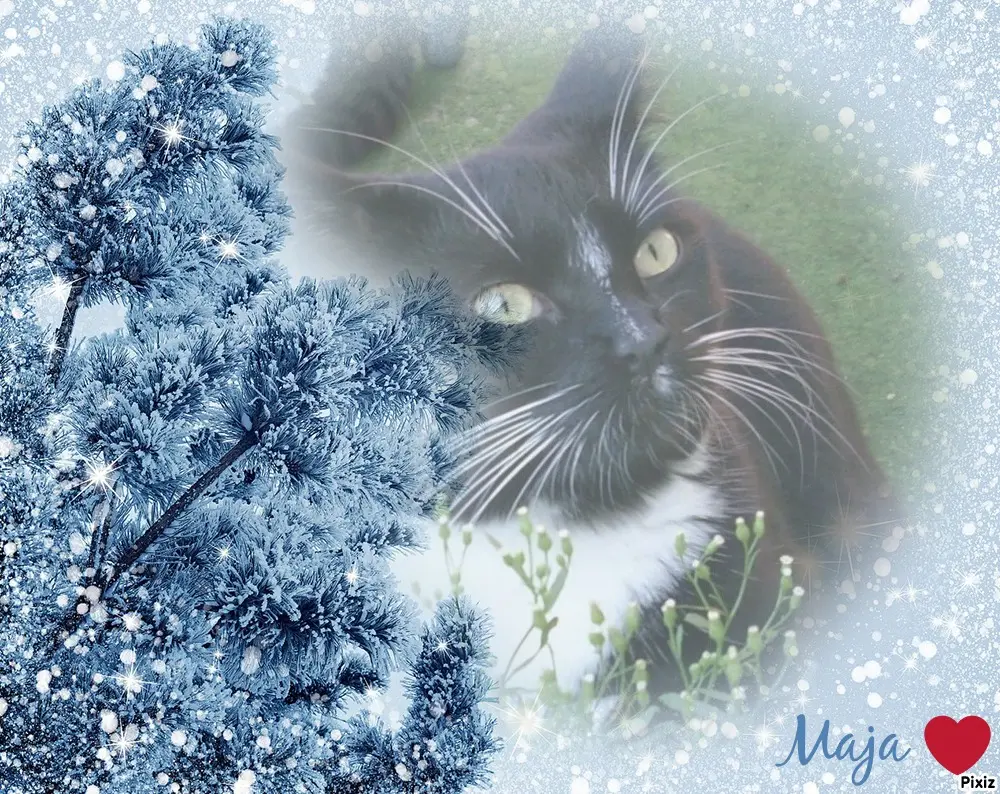 Andachtsbild von Tanja mit Timmy im Herzen 